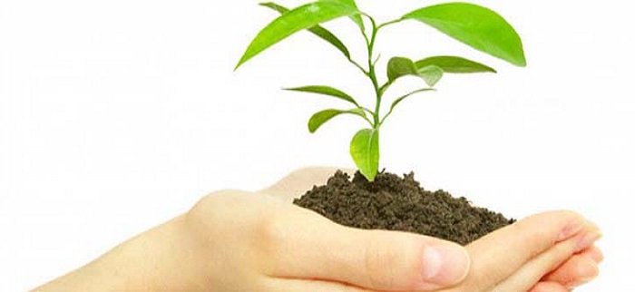 About Tapasya Analytical Research Lab — Accredited environmental laboratory in Delhi NCR