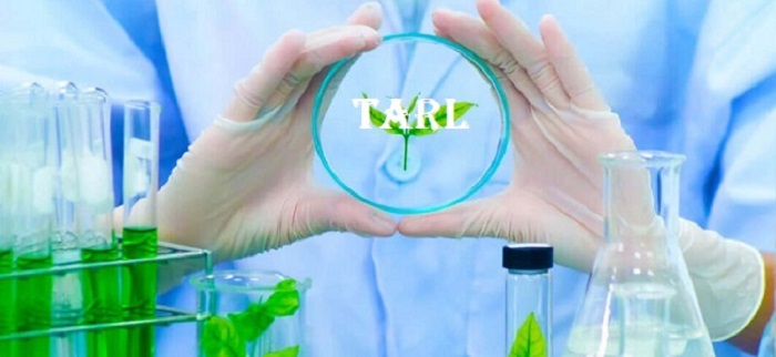 Environmental Blog — Air and Water Testing insights for Delhi NCR